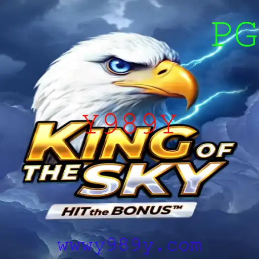 Descubra o Mundo de KingOfTheSky: Uma Aventura Épica nos Céus